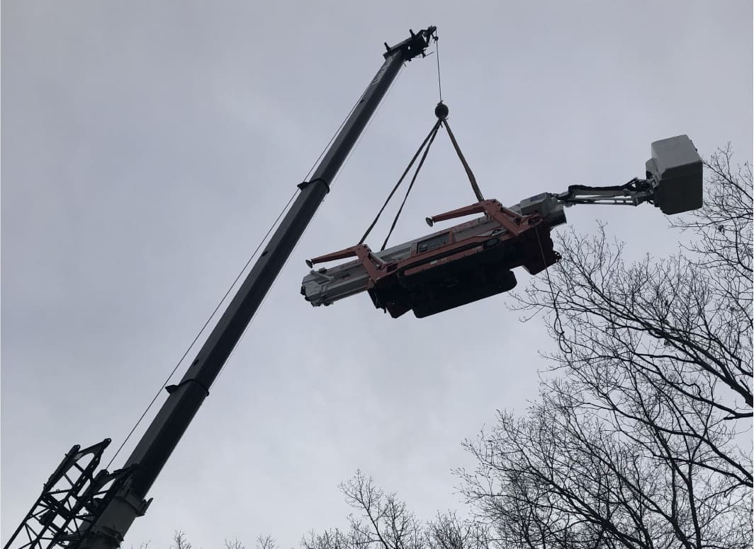 Big tree cutting and maintenance by Sandweiss Tree team